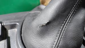 Консоль салона центральная Нива Тревел LADA Нива Тревел 21230-5109154-55-0