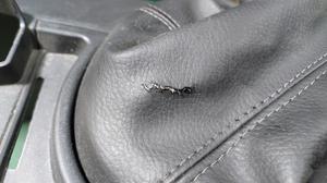 Консоль салона центральная Нива Тревел LADA Нива Тревел 21230-5109154-55-0