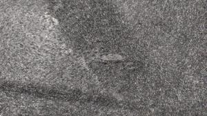 Обшивка крышки багажника TOYOTA Camry 64719-33080