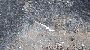 Вкладыш в кузов G7 TOYOTA Hilux None