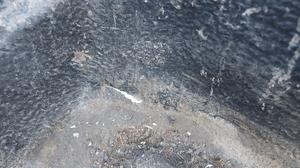 Вкладыш в кузов G7 TOYOTA Hilux None