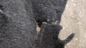 Ковровое покрытие салона G7 TOYOTA Hilux None