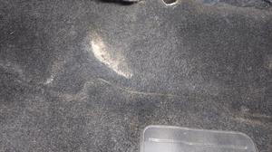 Ковровое покрытие салона G7 TOYOTA Hilux None