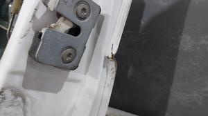 Дверь передняя правая R УАЗ Профи None