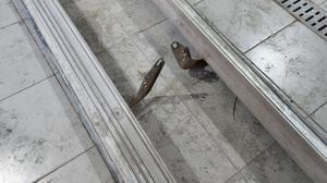 Подножки G7 TOYOTA Hilux 51084-0K190