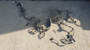 Проводка двигателя 1GD-FTV АКПП G8 TOYOTA Hilux 82121-KKJ02